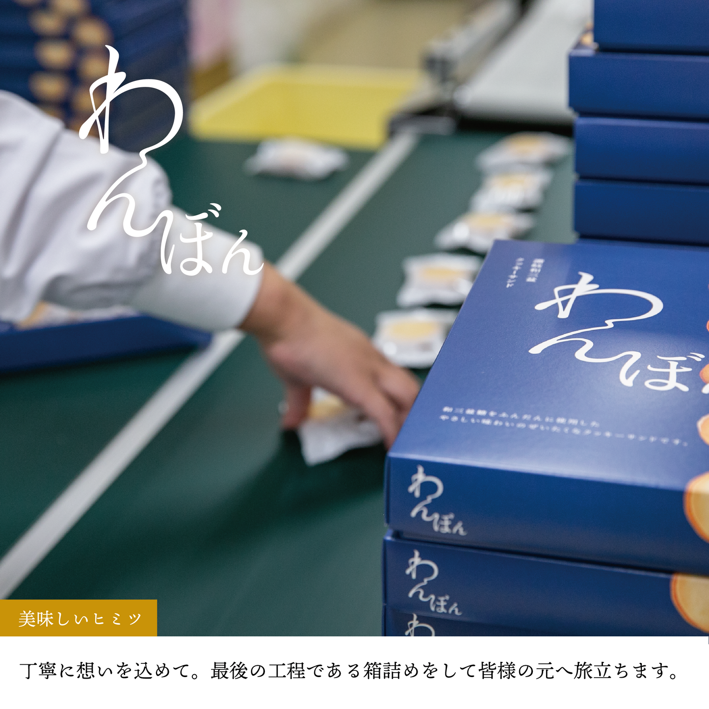 讃岐和三盆クッキーサンド/わんぼん