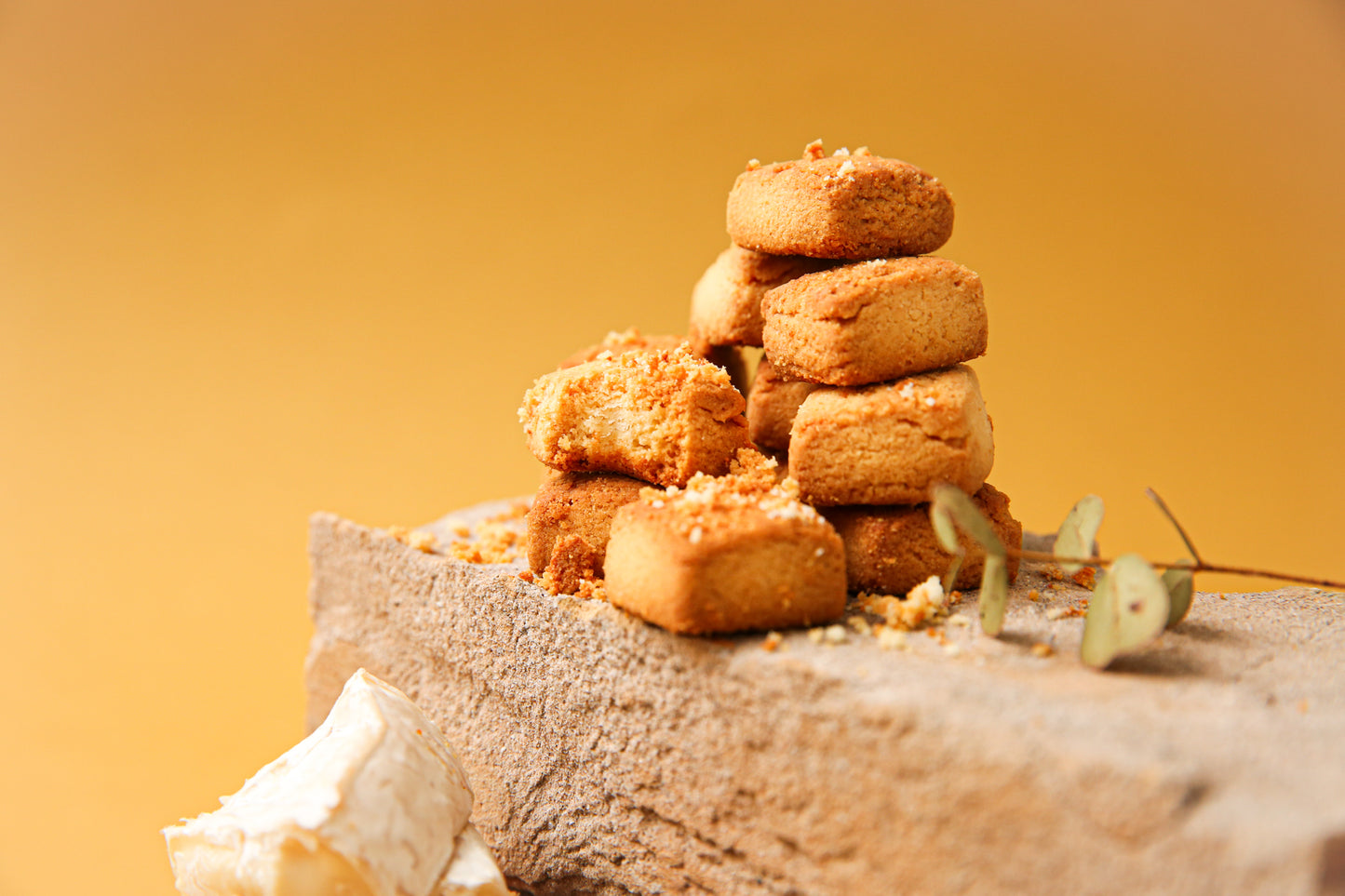 チーズ ／CUBE COOKIE（キューブクッキー）