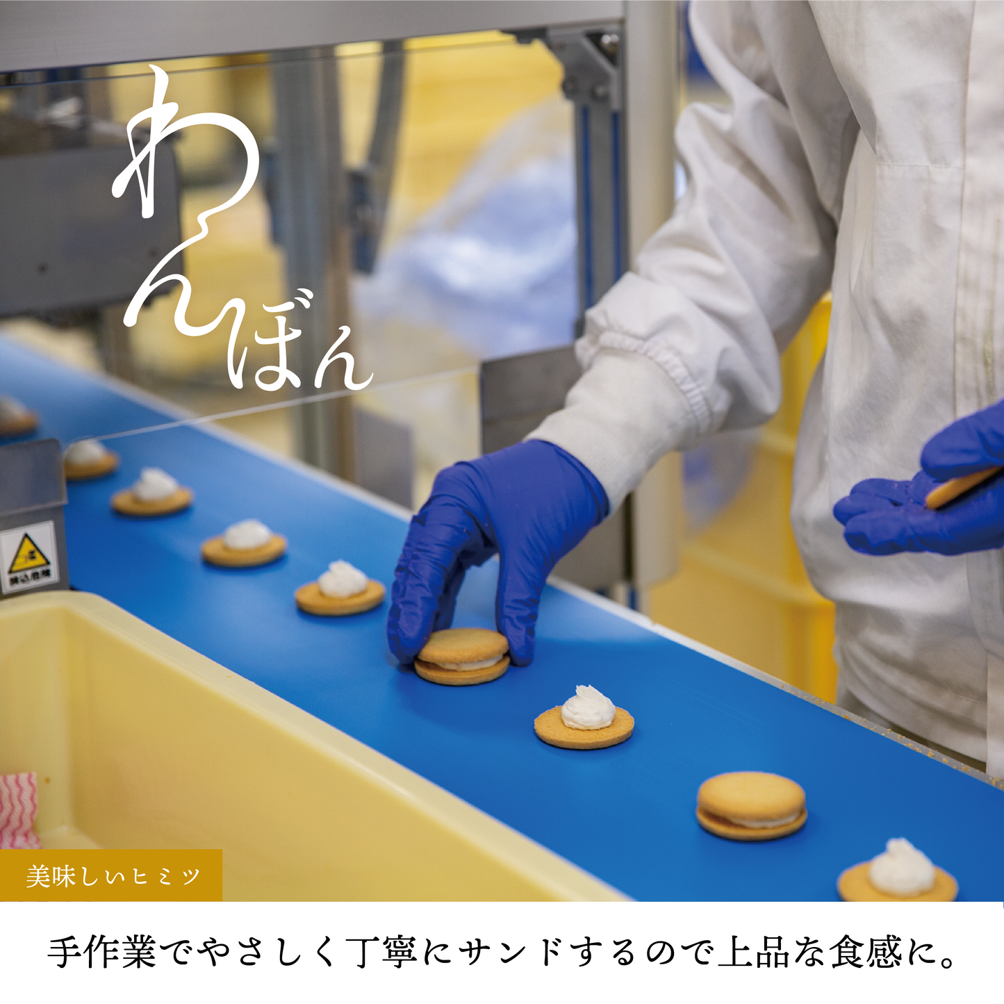 讃岐和三盆クッキーサンド／わんぼん